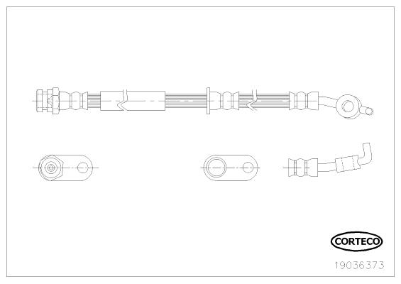 CORTECO Bremseslange 19036373 højre foraksel for MAZDA