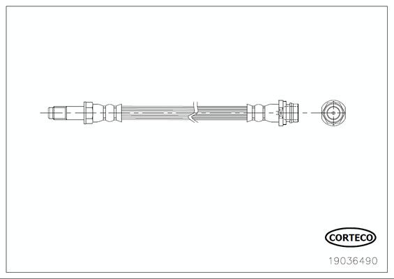 CORTECO Bremseslange 19036490 bagaksel for FORD