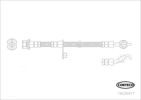 CORTECO Bremseslange 19036617 bagaksel for TOYOTA
