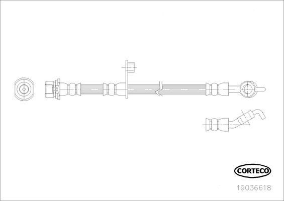 CORTECO Bremseslange 19036618 bagaksel for TOYOTA