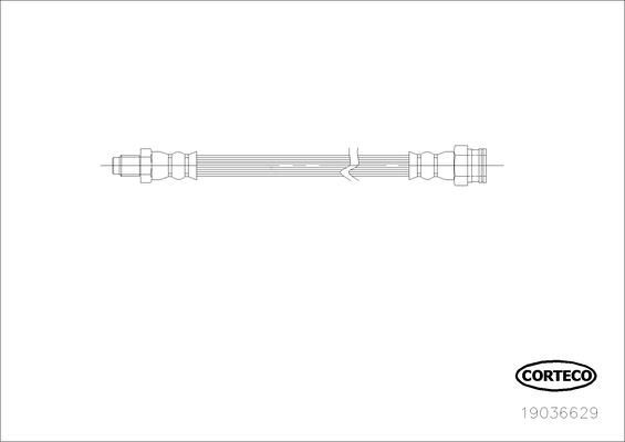 CORTECO Bremseslange 19036629 ydre for FIAT