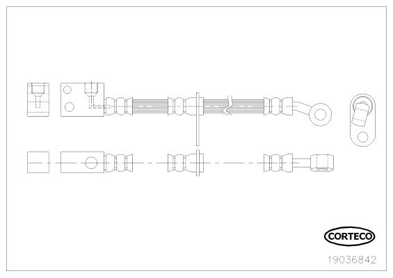 CORTECO Bremseslange 19036842 foraksel for HONDA