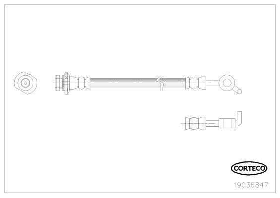 CORTECO Bremseslange 19036847 bagaksel for NISSAN RENAULT