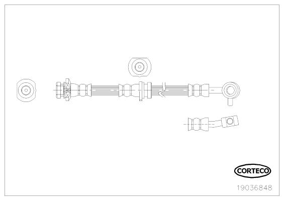 CORTECO Bremseslange 19036848 foraksel for NISSAN