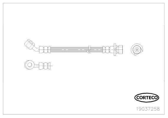 CORTECO Bremseslange 19037258 ydre for HONDA