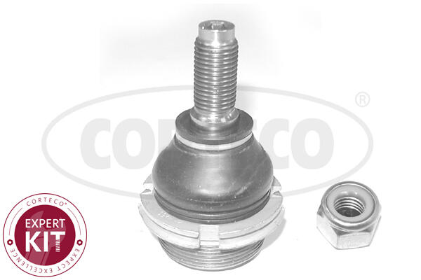 CORTECO Bærekugle 49398886 nede for PEUGEOT CITROËN
