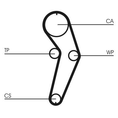 CONTINENTAL CTAM Vandpumpe + tandremssæt ct988wp3 for RENAULT TRUCKS DACIA NISSAN RENAULT