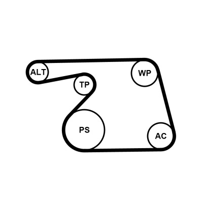 CONTINENTAL CTAM Vandpumpe + kileremssæt 6pk1318wp1 for OPEL FIAT VAUXHALL SUZUKI