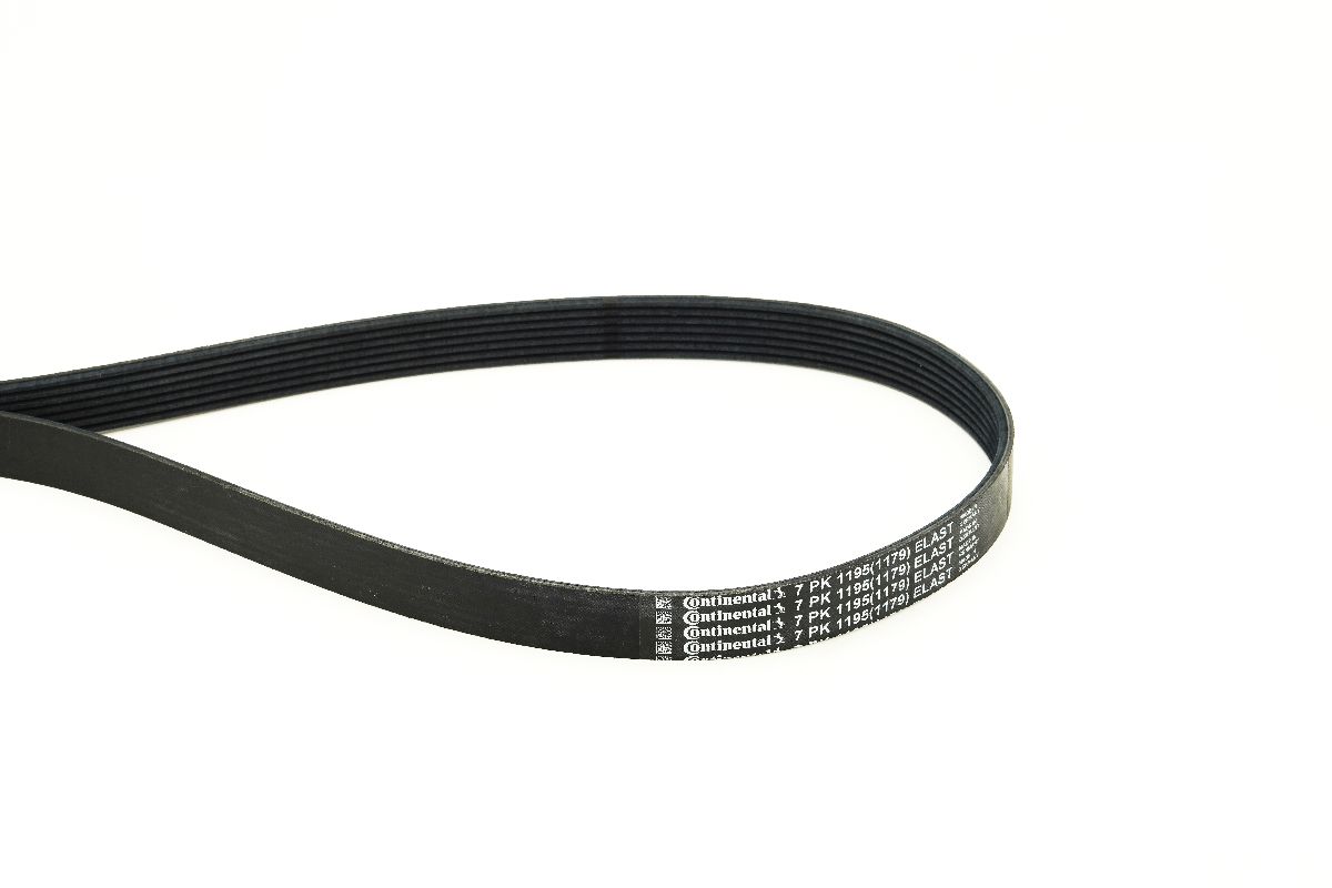 CONTINENTAL CTAM Kilerem 7PK1195 ELAST for MERCEDES-BENZ NISSAN DACIA
