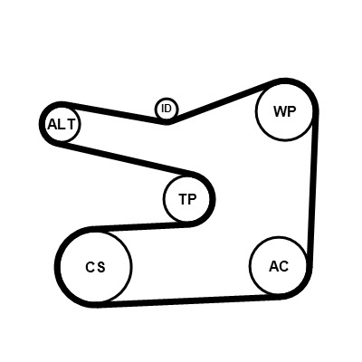 CONTINENTAL CTAM Kileremssæt 6PK1635K1 for OPEL VAUXHALL