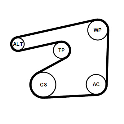 CONTINENTAL CTAM Kileremssæt 6PK1555K5 for OPEL VAUXHALL CHEVROLET