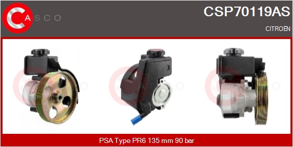 CASCO Hydraulikpumpe, styresystem csp70119as for CITROËN/PEUGEOT