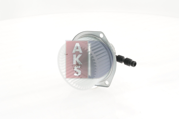AKS DASIS 448256n
