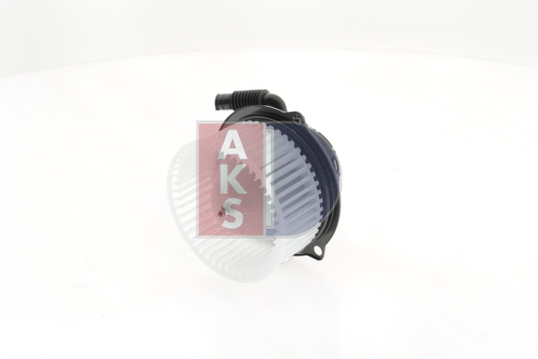 AKS DASIS 448250n