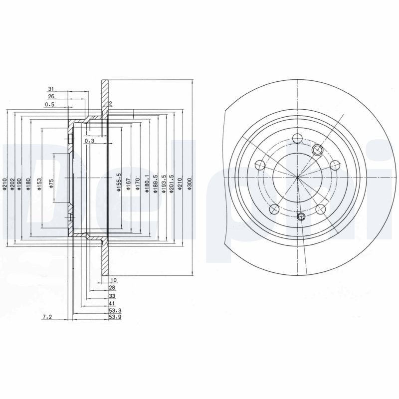 DELPHI Bremseskive bg2431 300mm 10mm for BMW