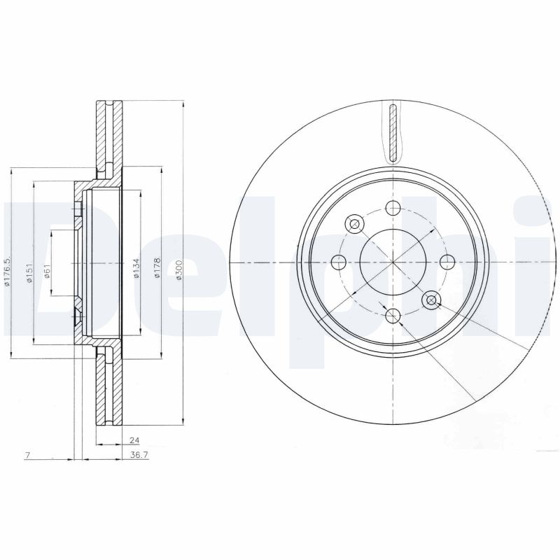 DELPHI Bremseskive bg3929 300mm 24mm for RENAULT