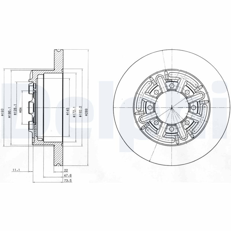 DELPHI Bremseskive bg4171 289mm 22mm for IVECO