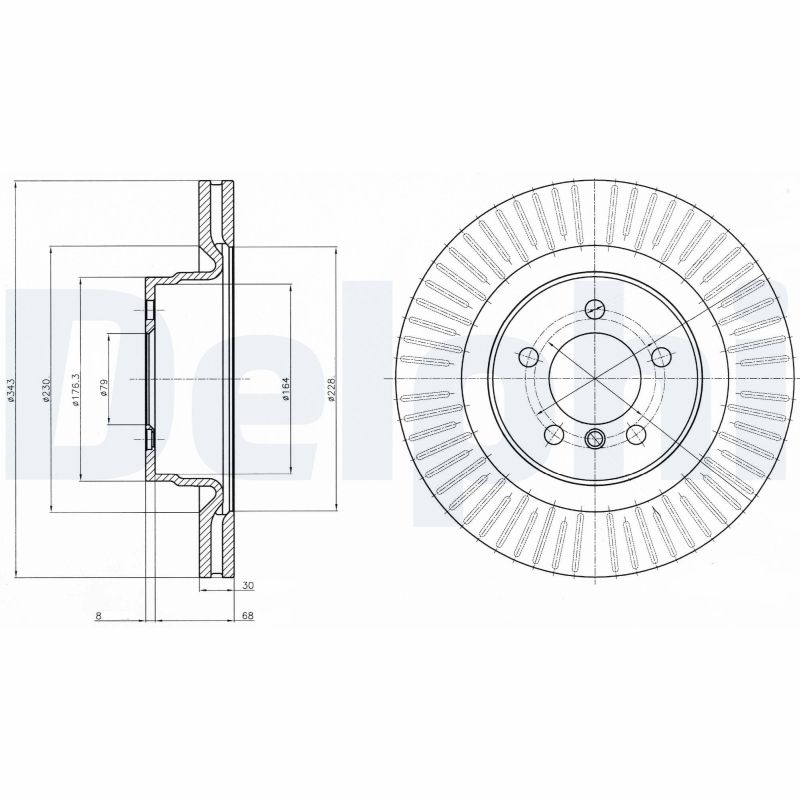 DELPHI Bremseskive bg9081c 343mm 30mm for LAND ROVER