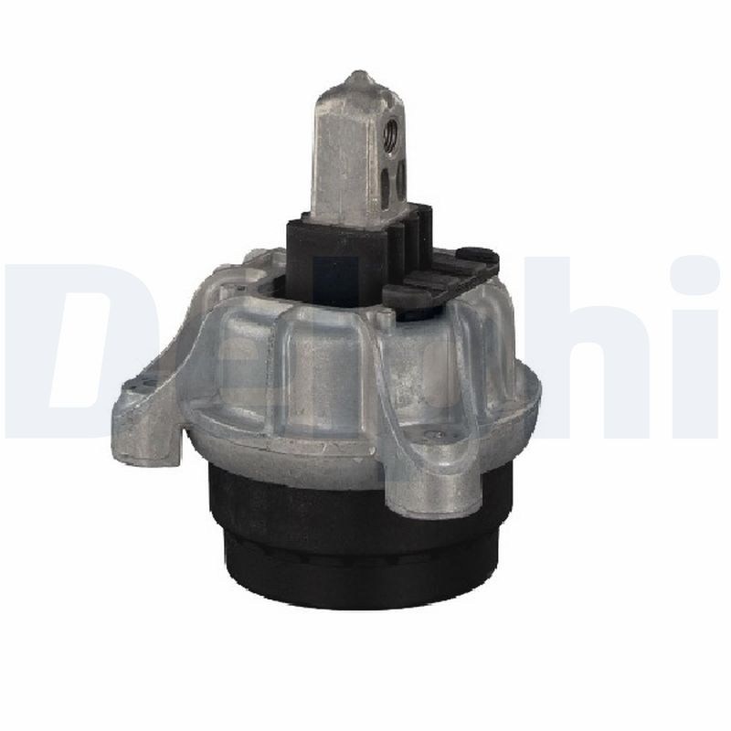 DELPHI Motorophæng tem253 bag for BMW