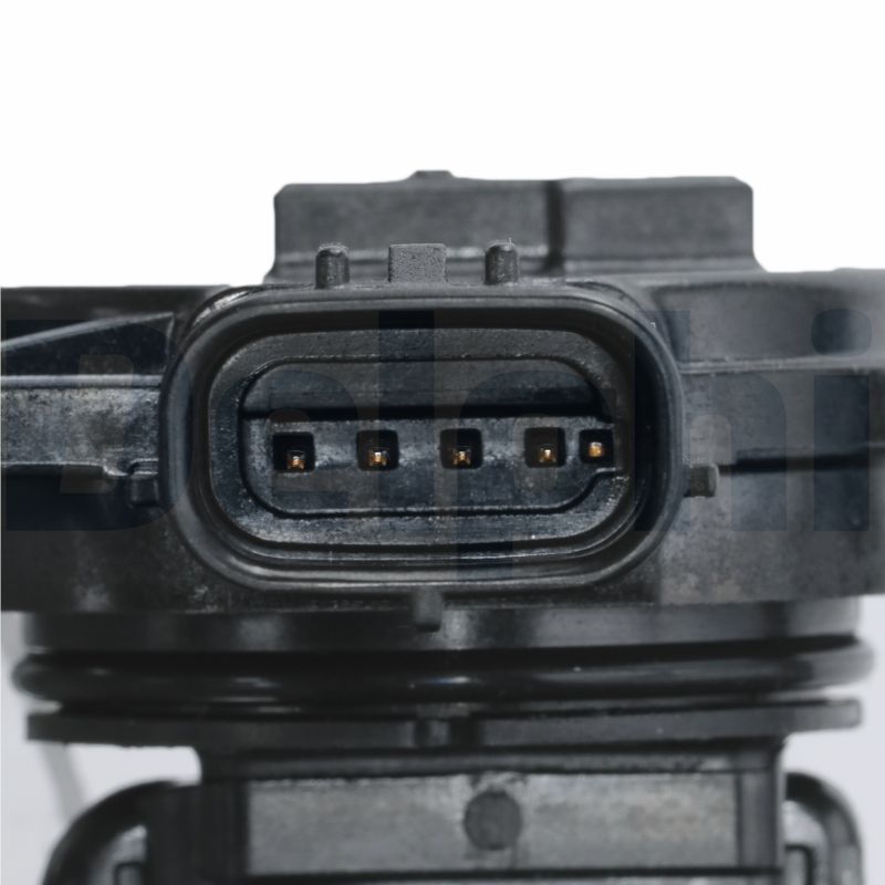 DELPHI Luftmængdesensor AF10658-12B1 for LEXUS NISSAN