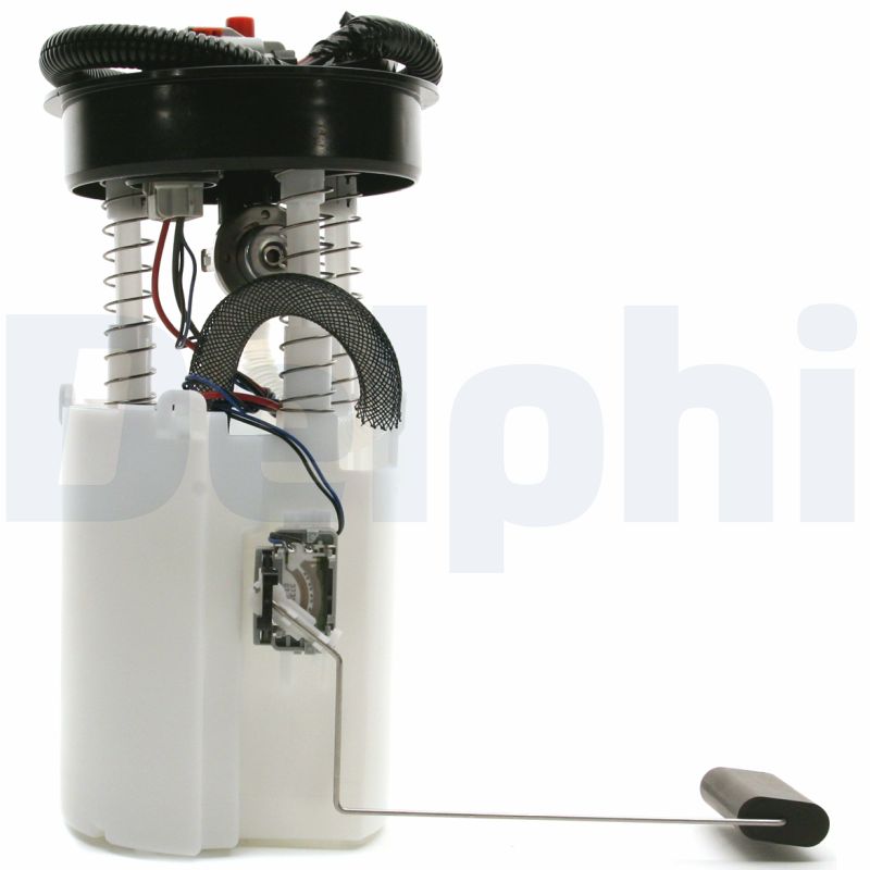 DELPHI fg022511b1