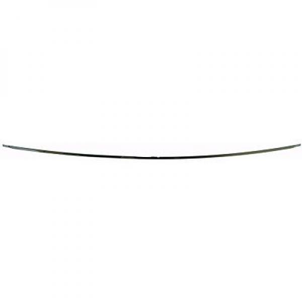 DIEDERICHS Pynte-/beskyttelsesliste, kofanger 1616068 bag for MERCEDES-BENZ
