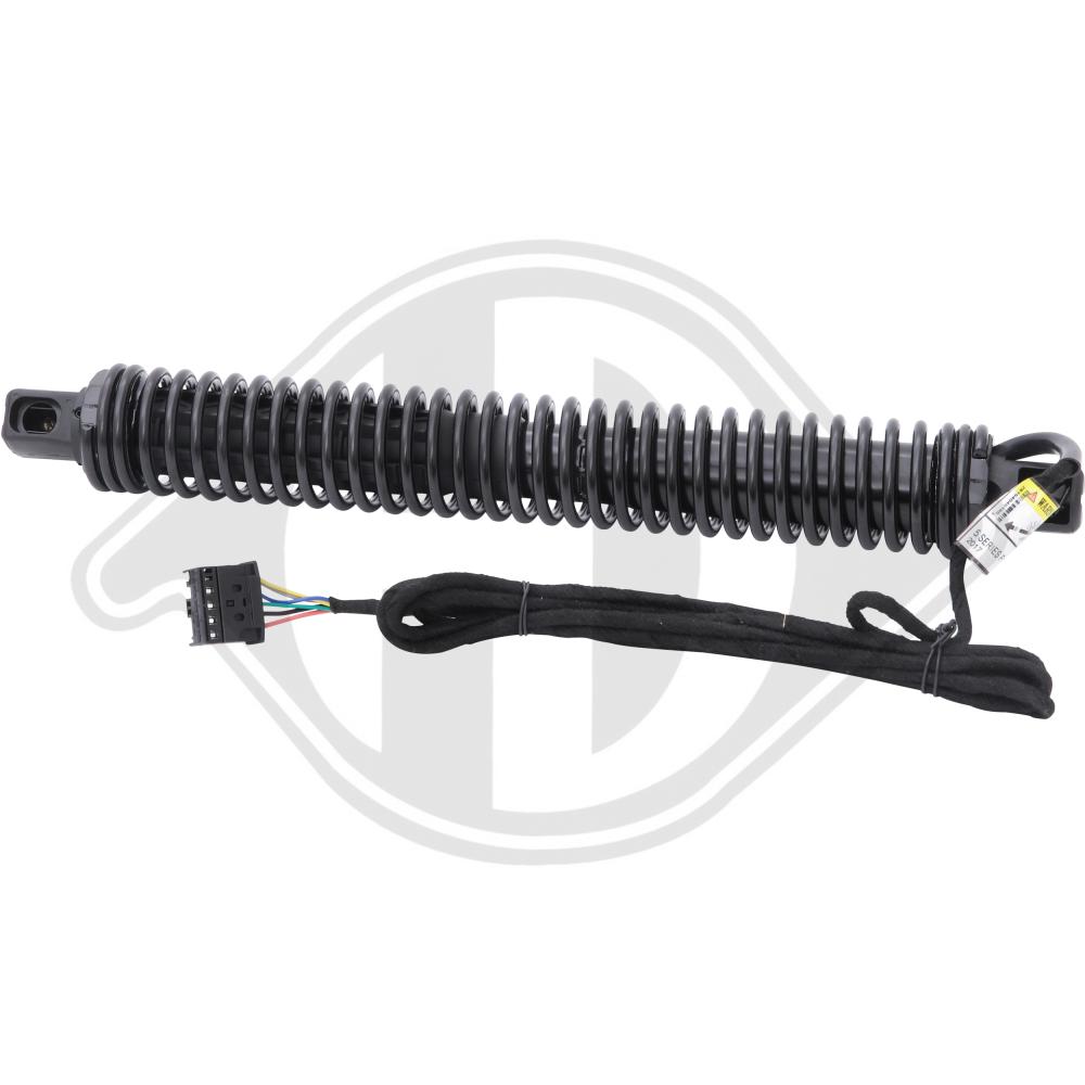DIEDERICHS Gasfjeder, kuffert-/lastrum 9100561 bagved til venstre for BMW