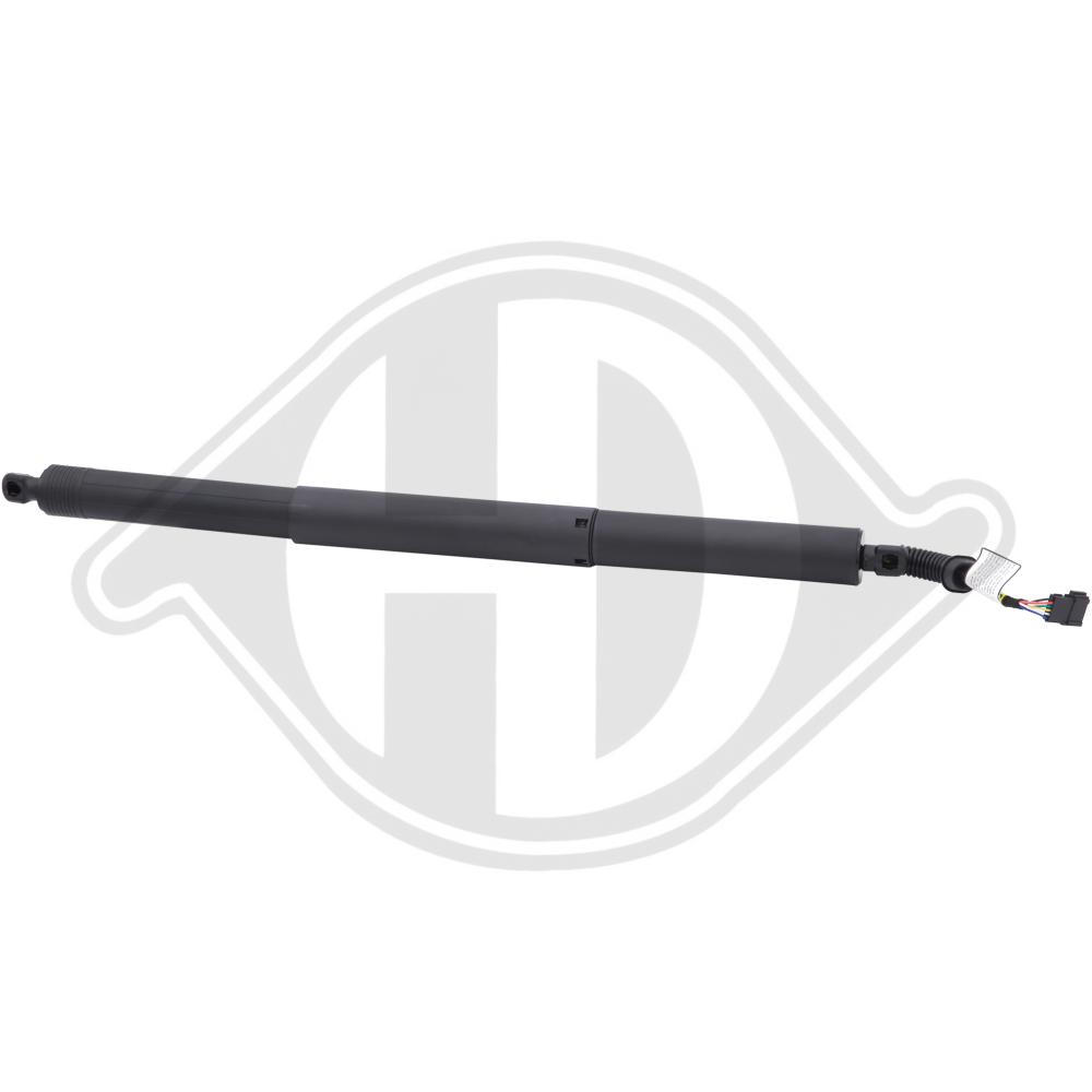 DIEDERICHS Gasfjeder, kuffert-/lastrum 9100565 bagved til højre for BMW