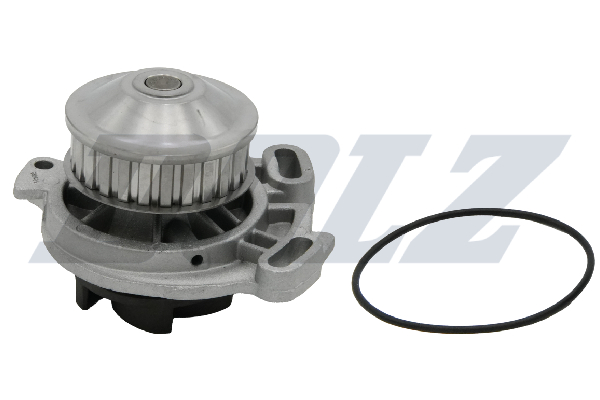 DOLZ Vandpumpe a152 for AUDI