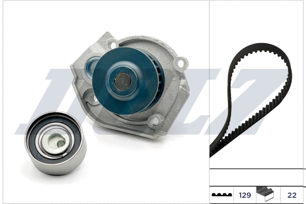 DOLZ Vandpumpe + tandremssæt kd141 for ALFA ROMEO