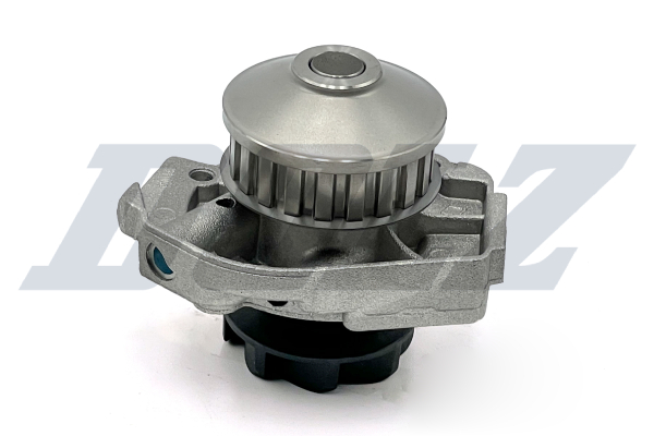 DOLZ Vandpumpe s161 for AUTOBIANCHI LANCIA