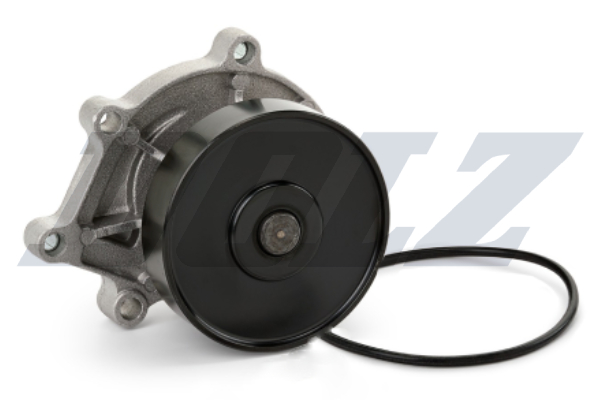DOLZ Vandpumpe b239 for TOYOTA MINI