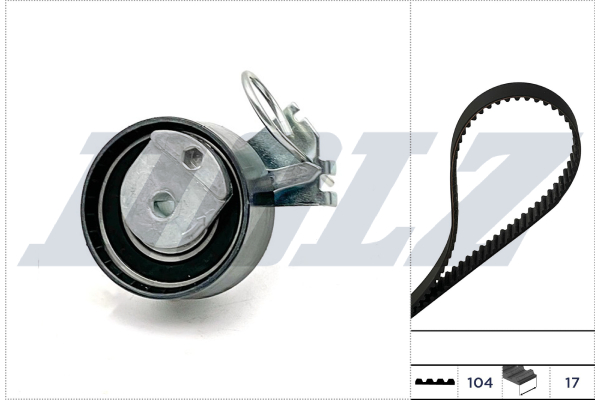 DOLZ Tandremssæt skd057 for PEUGEOT CITROËN FIAT