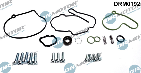 DR.MOTOR AUTOMOTIVE Reperationssæt, vacuumpumpe (bremsesystem) drm0192 for VAG