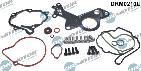 DR.MOTOR AUTOMOTIVE Reperationssæt, vacuumpumpe (bremsesystem) drm0210l for FORD VAG