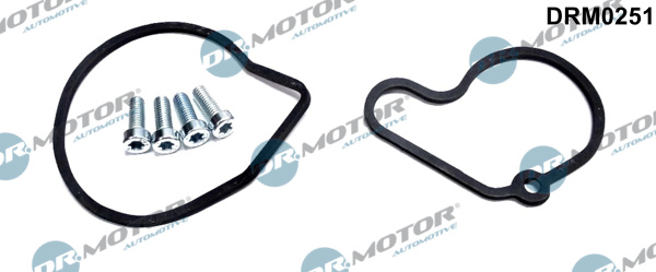DR.MOTOR AUTOMOTIVE Reperationssæt, vacuumpumpe (bremsesystem) drm0251 for VAG