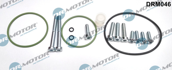 DR.MOTOR AUTOMOTIVE Reperationssæt, vacuumpumpe (bremsesystem) drm046 for VW