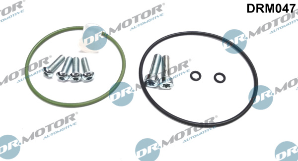 DR.MOTOR AUTOMOTIVE Reperationssæt, vacuumpumpe (bremsesystem) drm047 for VAG