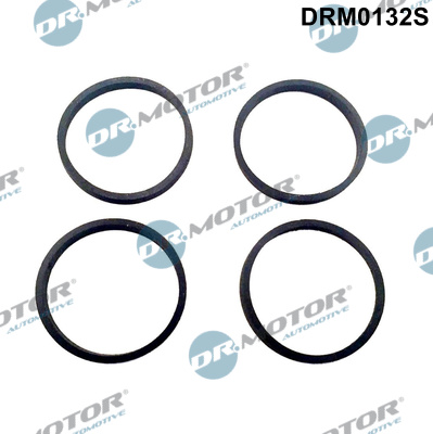 DR.MOTOR AUTOMOTIVE Pakningssæt, indsugningsmanifold drm0132s for VAG