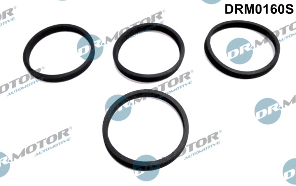 DR.MOTOR AUTOMOTIVE Pakningssæt, indsugningsmanifold drm0160s for VAG