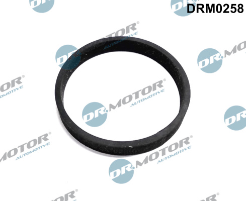 DR.MOTOR AUTOMOTIVE Pakning, turbine-indgang (turbo-lader) drm0258 for FORD