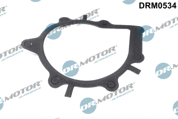 DR.MOTOR AUTOMOTIVE Pakning, vandpumpe drm0534 for FORD OPEL CITROËN/PEUGEOT