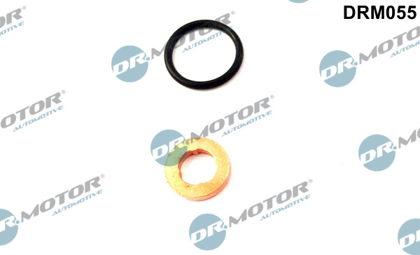 DR.MOTOR AUTOMOTIVE Pakningssæt, indsprøjtningsdyse drm055 for VW