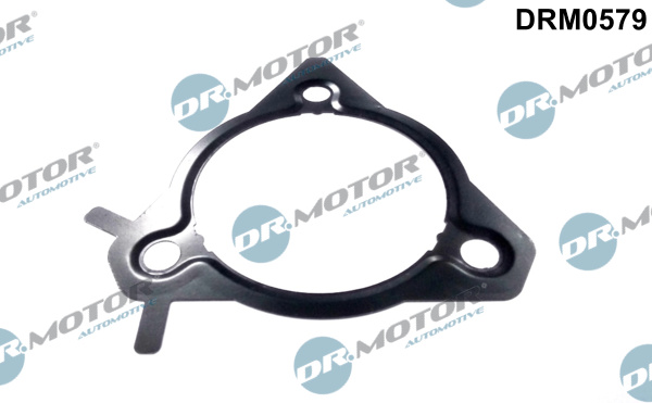 DR.MOTOR AUTOMOTIVE Pakning, indsprøjtningspumpe drm0579 for FORD