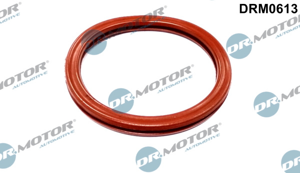 DR.MOTOR AUTOMOTIVE Pakning,gasspjældsstuds drm0613 for RENAULT