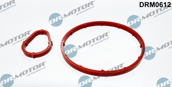 DR.MOTOR AUTOMOTIVE Pakningssæt, vakuumpumpe drm0612 for PEUGEOT FORD