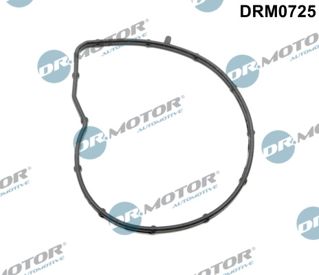 DR.MOTOR AUTOMOTIVE Pakning, vandpumpe drm0725 for OPEL BMW CITROËN/PEUGEOT