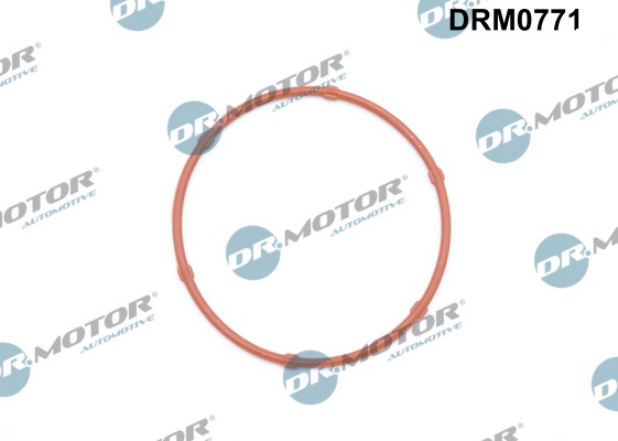 DR.MOTOR AUTOMOTIVE Pakning, oliepumpe drm0771 for OPEL