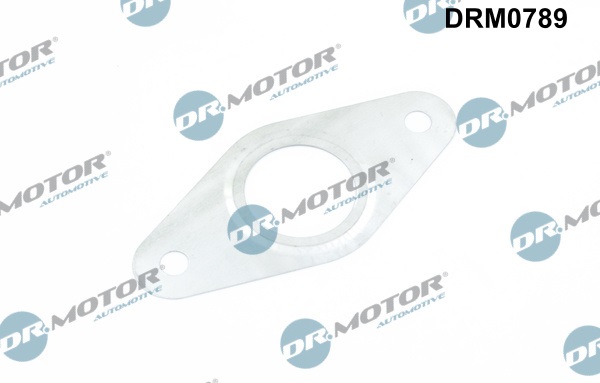 DR.MOTOR AUTOMOTIVE Pakning, ledning AGR-ventil drm0789 for FORD PEUGEOT