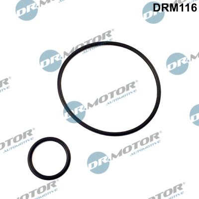 DR.MOTOR AUTOMOTIVE Pakningssæt, vakuumpumpe drm116 for CITROËN CITROËN/PEUGEOT